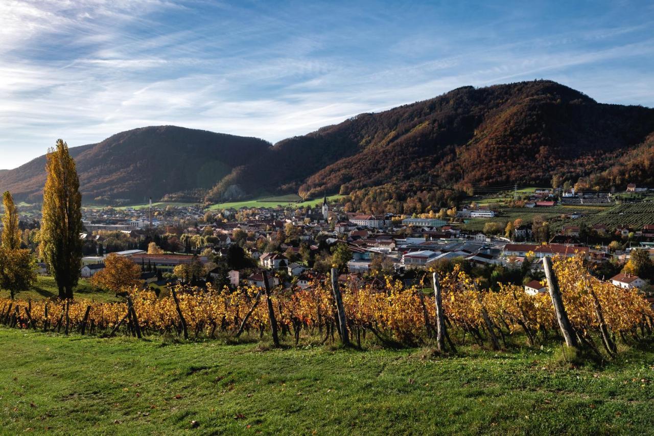 Dvorec Trebnik - Sobe Slovenske Konjice Exterior photo
